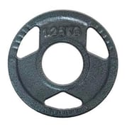 FitNord Viktskiva 30 mm, Gjutjärn 1,25 kg 1
