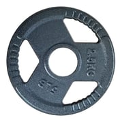 FitNord Viktskiva med grepp 30 mm, Gjutjärn 2,5 kg 1