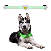 LED-ljus för hundhalsband Maxi 1