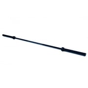 20 kg olympia skivstång