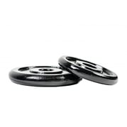 FitNord Viktskiva 30 mm, Gjutjärn 15 kg