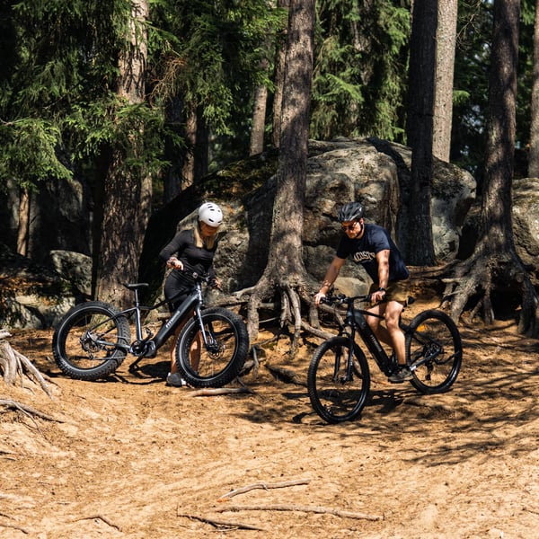FitNord Ranger 800 Elmountainbike, grafit 3
