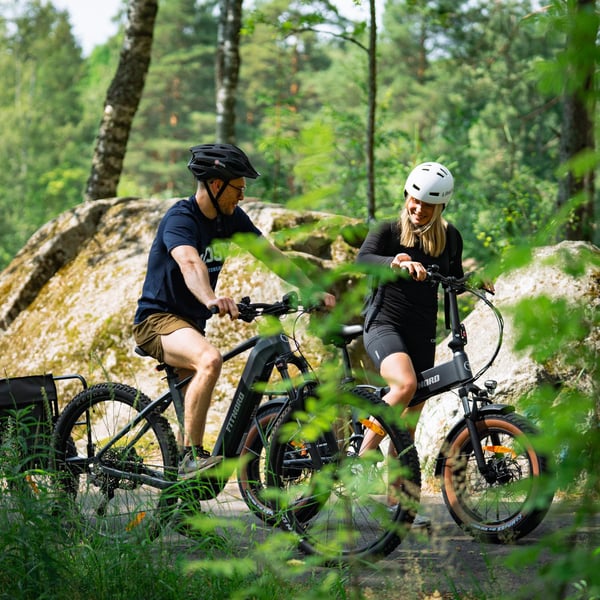 FitNord Ranger 800 Elmountainbike, grafit 8