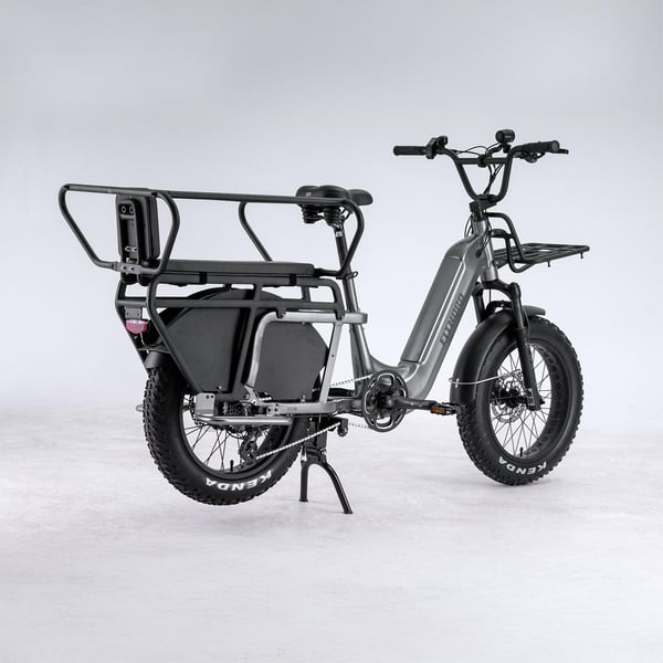 FitNord Cargo 350 Longtail Elcykel, grå 4