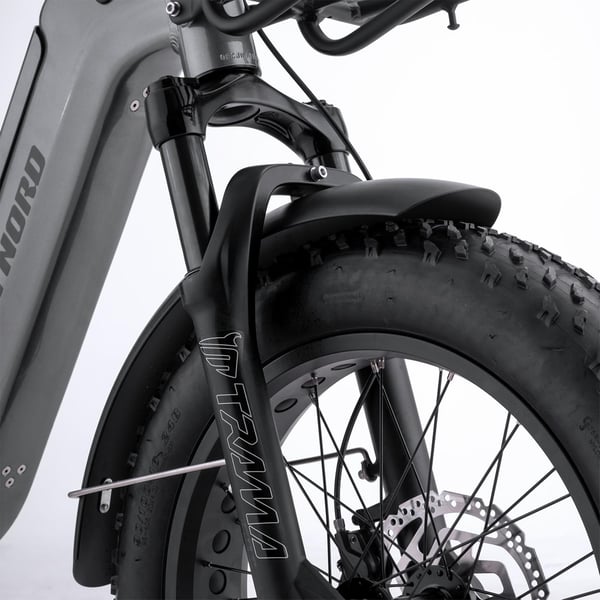 FitNord Cargo 350 Longtail Elcykel, grå 8
