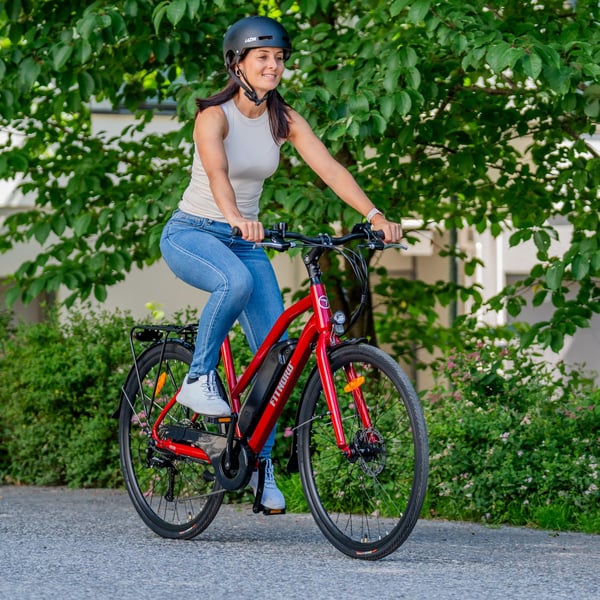 FitNord Ava 200 Elcykel, röd (540 Wh batteri) 13