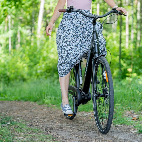 FitNord Classic 300 Elcykel, svart (504 Wh batteri)  med ytterligare ett års garanti 15