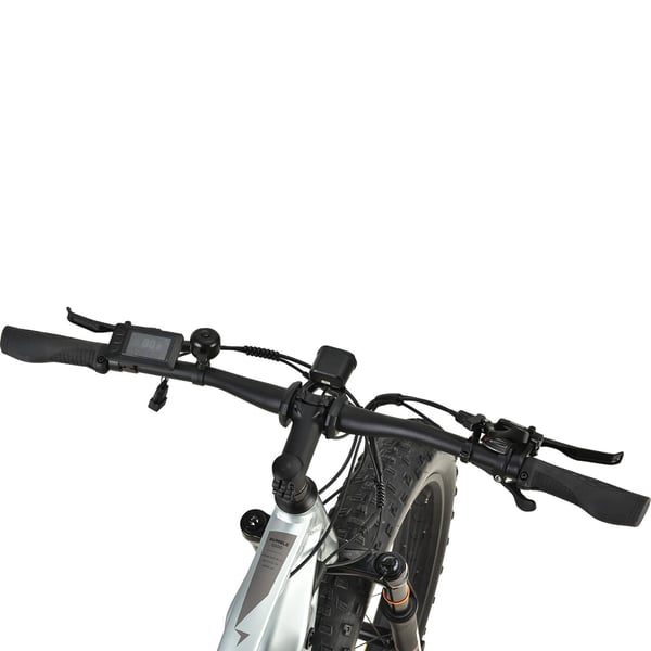 FitNord Rumble 1000 Elfatbike 2023, mintgrön (882 Wh batteri)