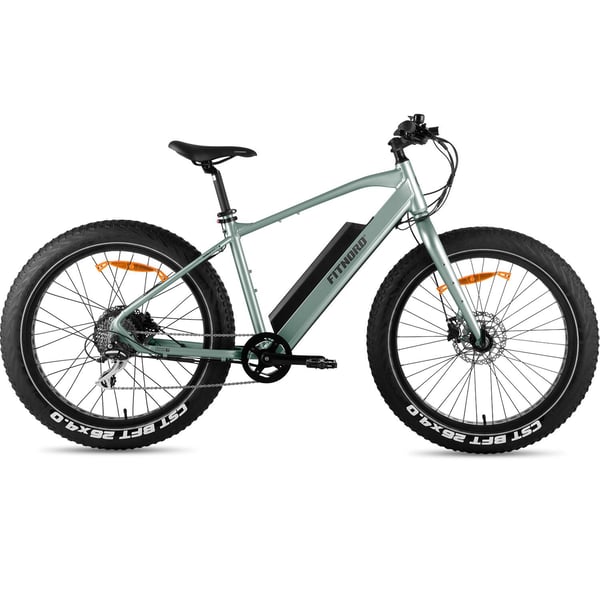 FitNord Rumble 300 Elfatbike, mintgrön (720 Wh batteri)  med ytterligare ett års garanti 1
