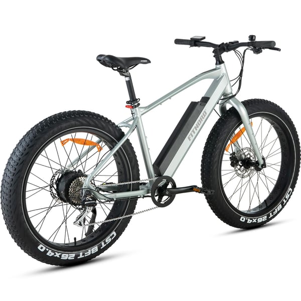 FitNord Rumble 300 Elfatbike, mintgrön (720 Wh batteri)  med ytterligare ett års garanti 3