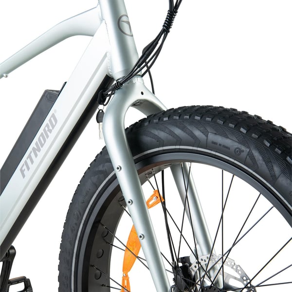 FitNord Rumble 300 Elfatbike, mintgrön (720 Wh batteri)  med ytterligare ett års garanti 7