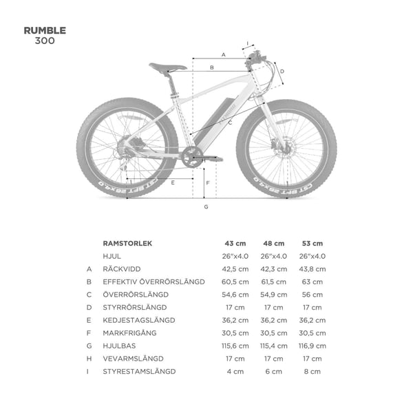 FitNord Rumble 300 Elfatbike, mintgrön (720 Wh batteri)  med ytterligare ett års garanti 17