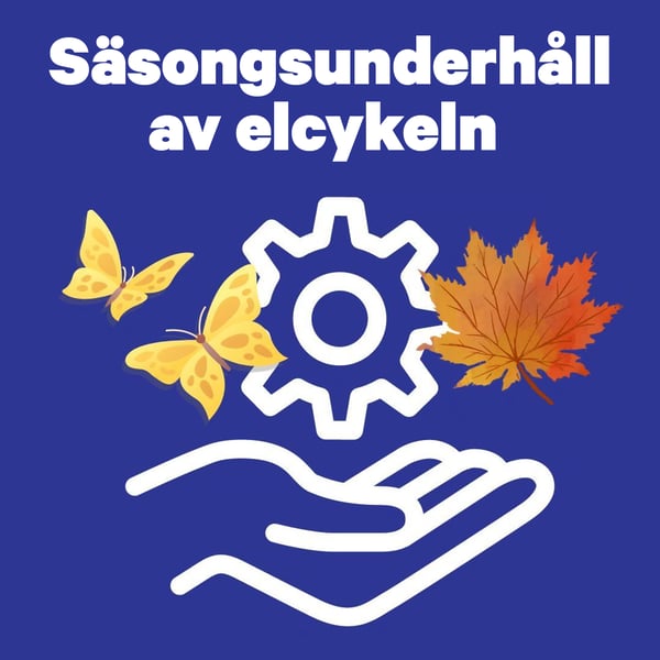 Säsongsunderhåll av elcykeln 1