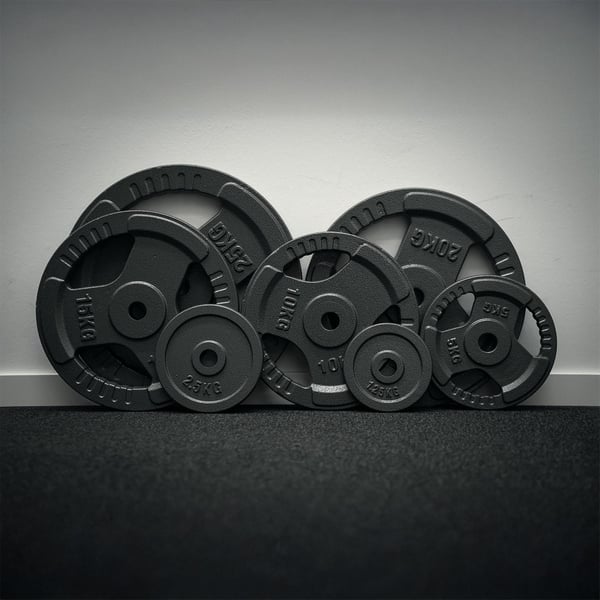 FitNord Viktskiva med grepp 30 mm, Gjutjärn 10 kg 5