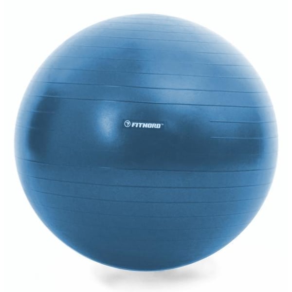 FitNord Pilatesboll 65cm
