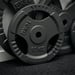 FitNord Viktskiva med grepp 30 mm, Gjutjärn 10 kg 3