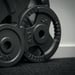 FitNord Viktskiva med grepp 30 mm, Gjutjärn 5 kg 4