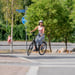 FitNord Classic 300 Elcykel, svart (504 Wh batteri)  med ytterligare ett års garanti 12