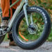 FitNord Rumble 300 Elfatbike, mintgrön (720 Wh batteri)  med ytterligare ett års garanti 15