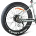 FitNord Rumble 300 Elfatbike, mintgrön (720 Wh batteri)  med ytterligare ett års garanti 8