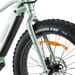 FitNord Rumble 900 Elfatbike, mintgrön (882 Wh batteri)  med ytterligare ett års garanti 10